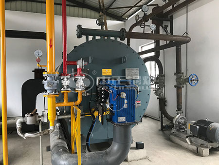 燒生物質(zhì)顆粒的鍋爐